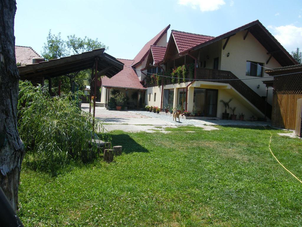 Pensiunea Casa Filoxenia Horezu Buitenkant foto