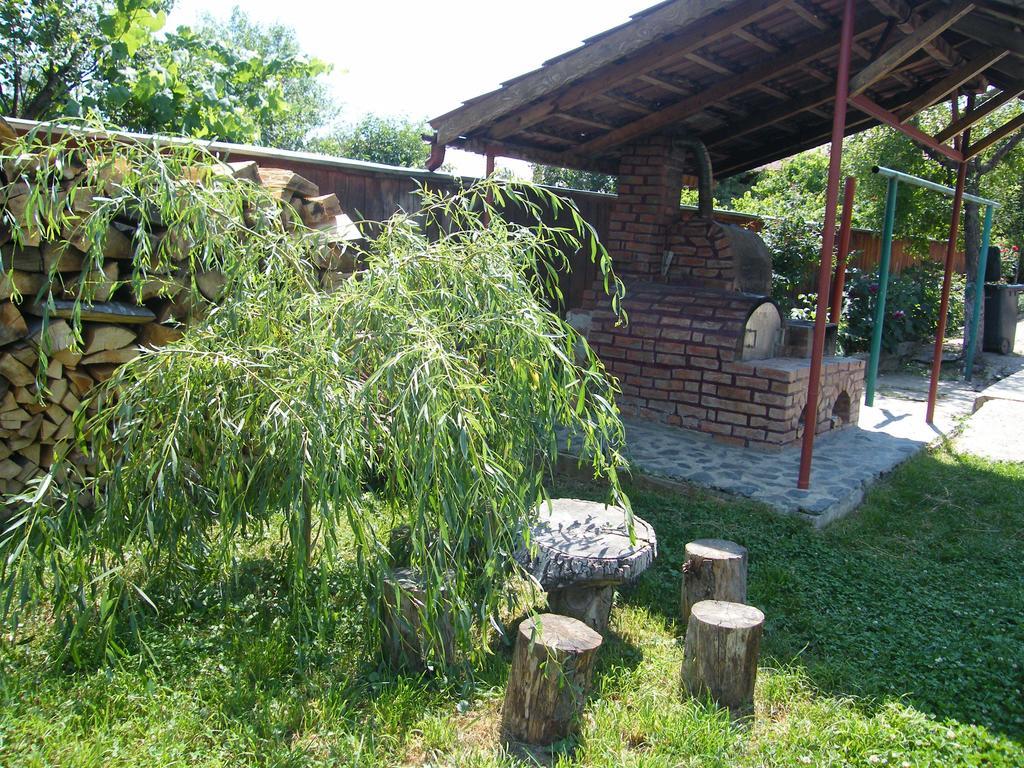 Pensiunea Casa Filoxenia Horezu Buitenkant foto