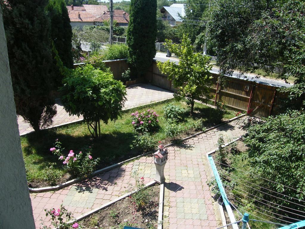 Pensiunea Casa Filoxenia Horezu Buitenkant foto