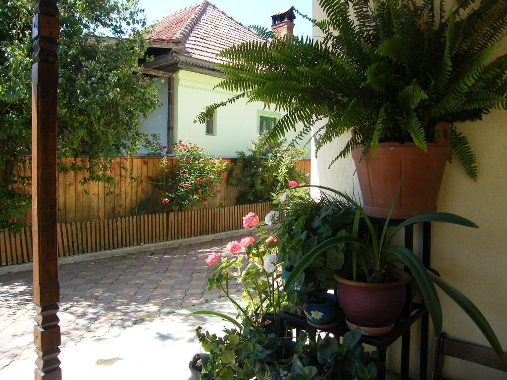 Pensiunea Casa Filoxenia Horezu Buitenkant foto
