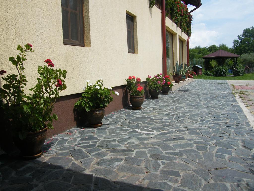 Pensiunea Casa Filoxenia Horezu Buitenkant foto