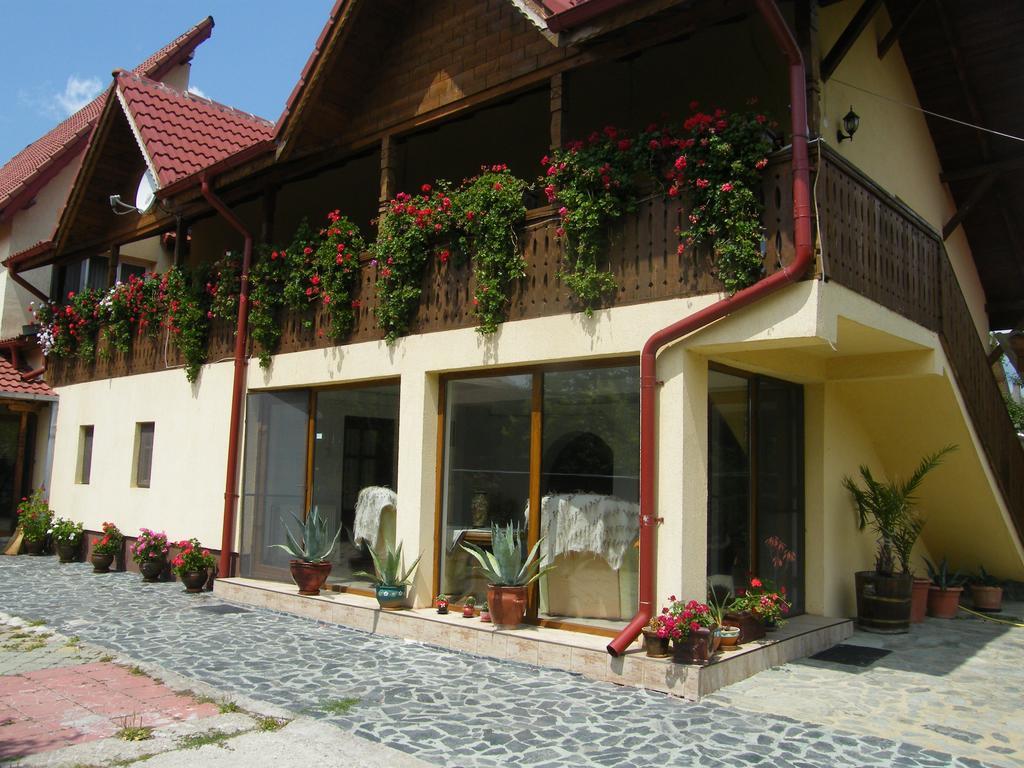 Pensiunea Casa Filoxenia Horezu Buitenkant foto