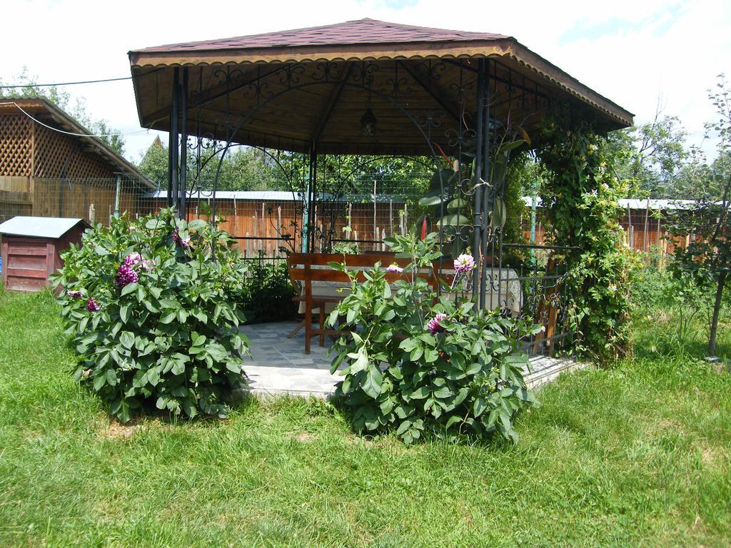 Pensiunea Casa Filoxenia Horezu Buitenkant foto