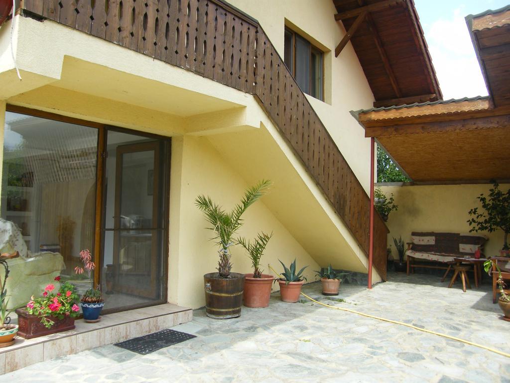 Pensiunea Casa Filoxenia Horezu Buitenkant foto