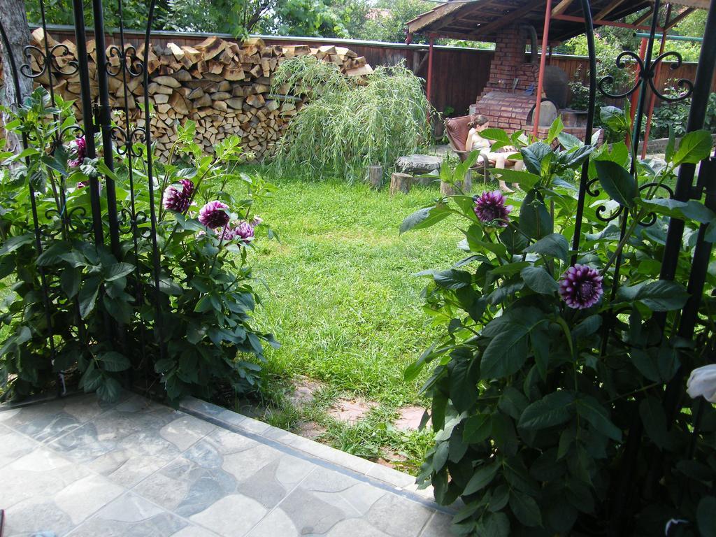Pensiunea Casa Filoxenia Horezu Buitenkant foto