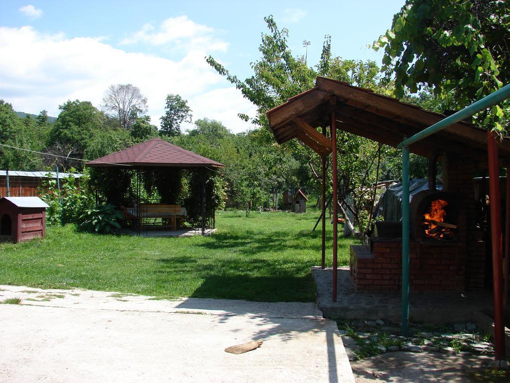 Pensiunea Casa Filoxenia Horezu Buitenkant foto