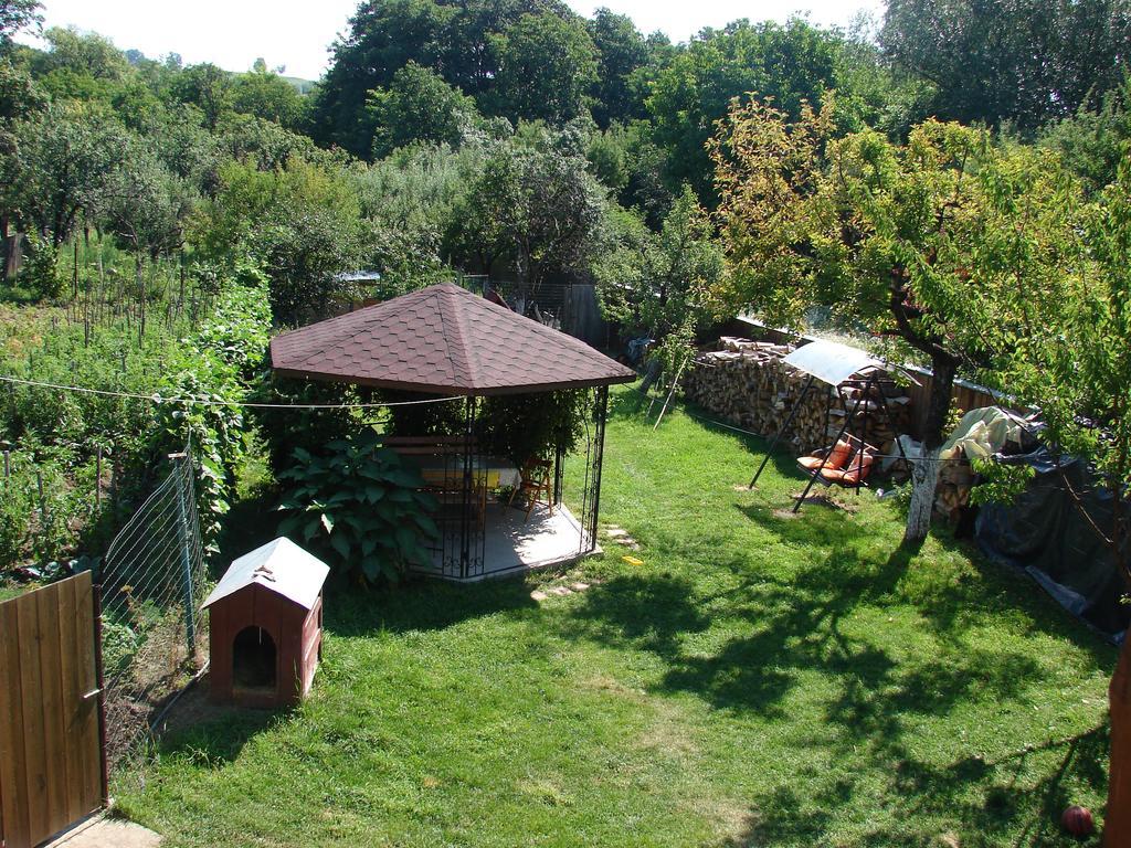Pensiunea Casa Filoxenia Horezu Buitenkant foto