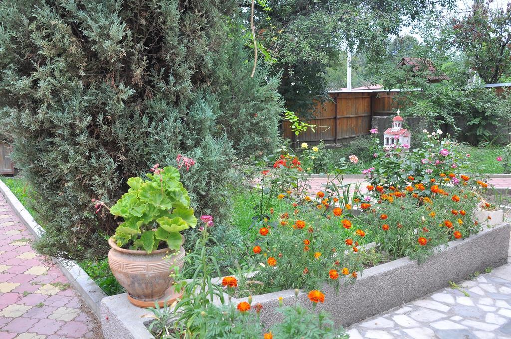 Pensiunea Casa Filoxenia Horezu Buitenkant foto