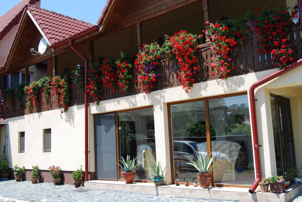 Pensiunea Casa Filoxenia Horezu Buitenkant foto