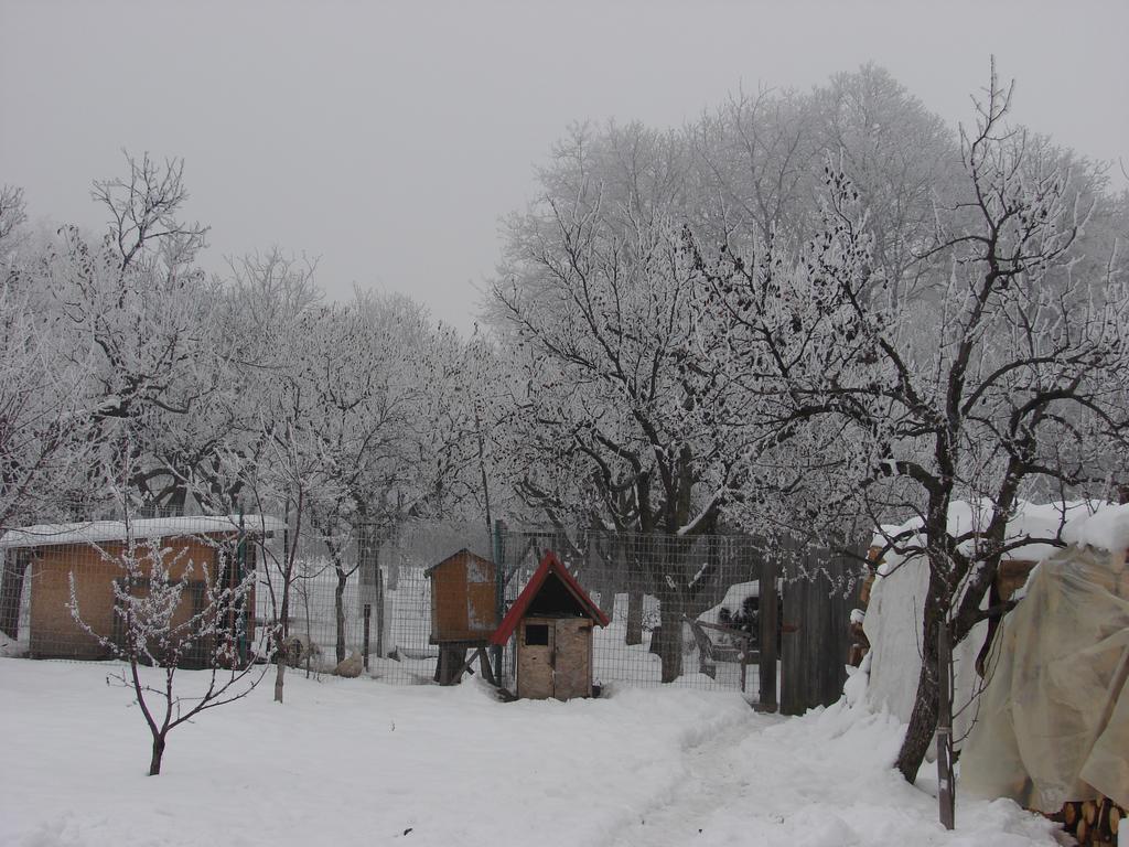 Pensiunea Casa Filoxenia Horezu Buitenkant foto
